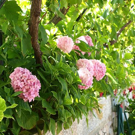 Alaburic Rooms & Apartment Mali Losinj Bagian luar foto